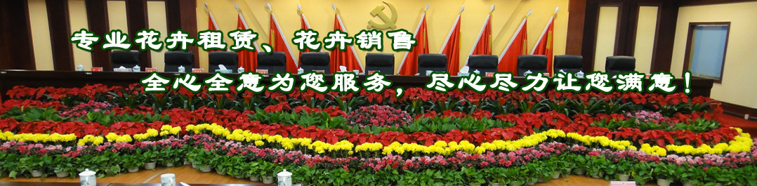 專業(yè)花卉租賃、花卉銷售